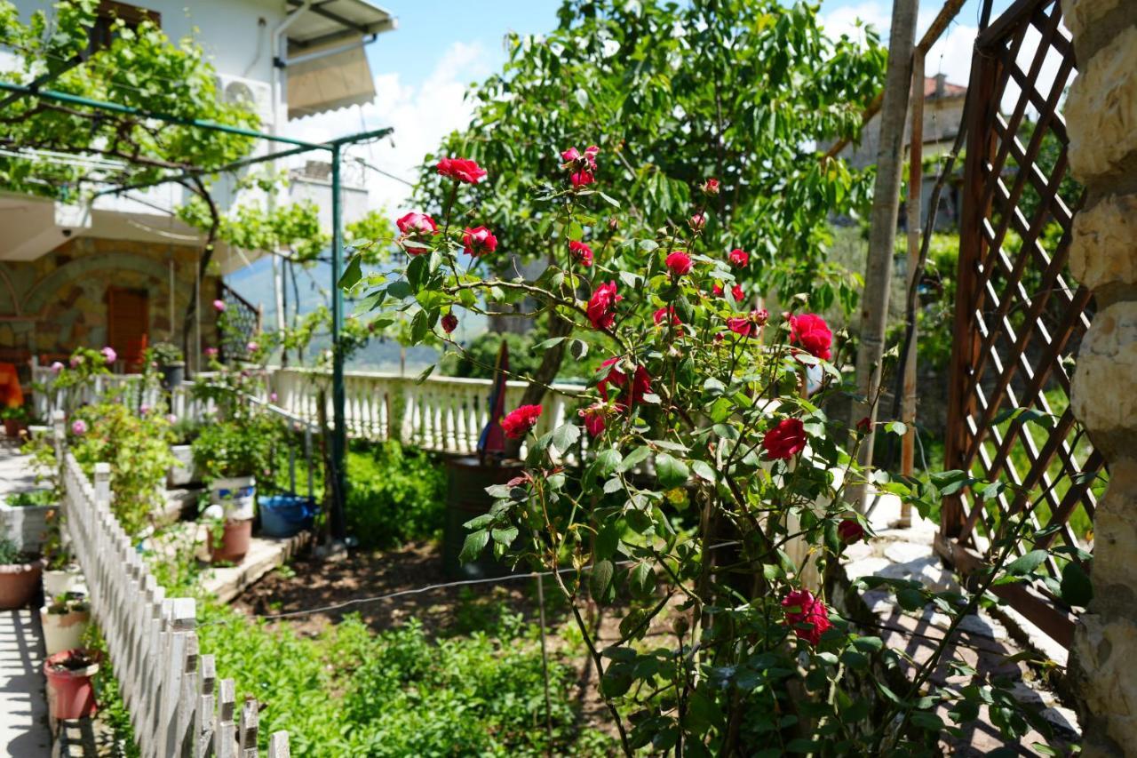 Gjirokastër Grandma'S Home מראה חיצוני תמונה